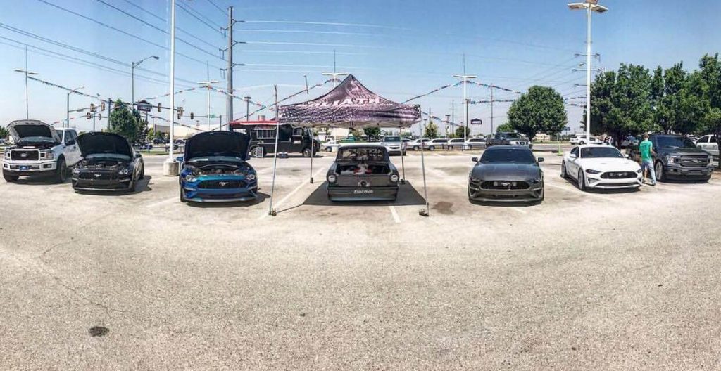 Image of mustangs from the Daddy Dave event