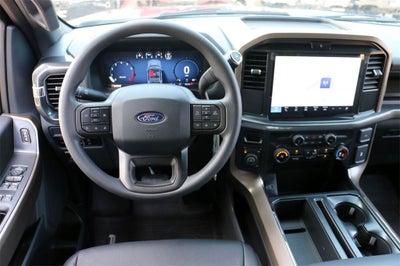 2025 Ford F-150 STX MIDNIGHT PACKAGE