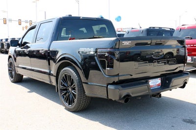 2025 Ford F-150 STX MIDNIGHT PACKAGE